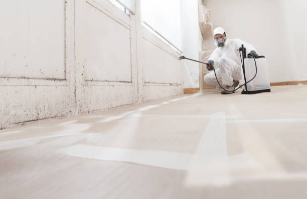 24/7 Emergency Mold Cleanup experts in Lexington, IL